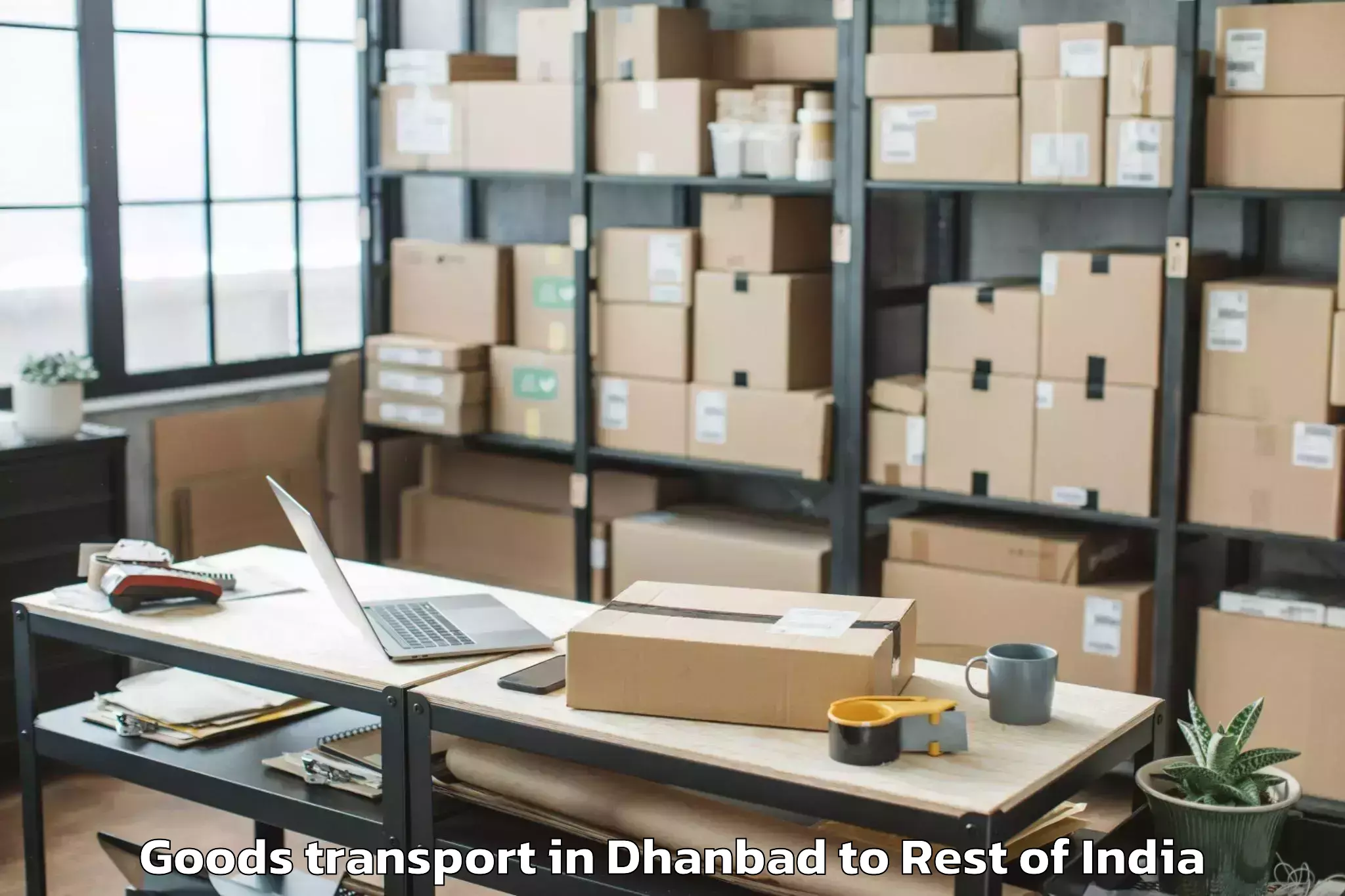 Easy Dhanbad to Daparizo Airport Dae Goods Transport Booking